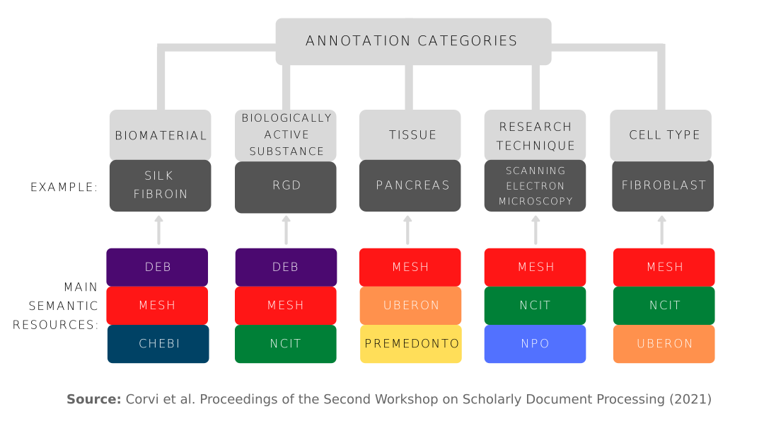 DEBBIE Annotation Schema
